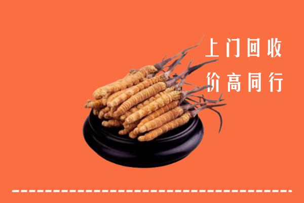 高价求购：宣城市宁国市回收散虫草