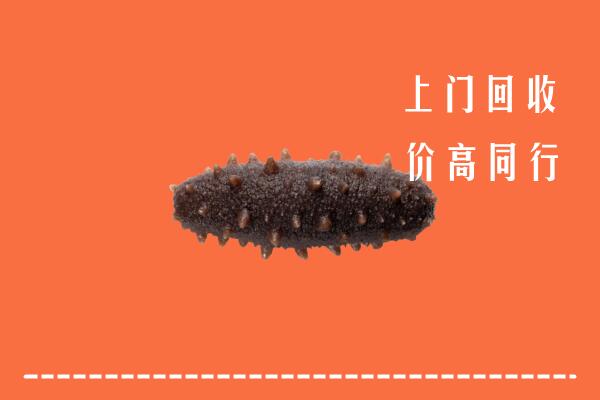 高价求购：宣城市宁国市回收海参