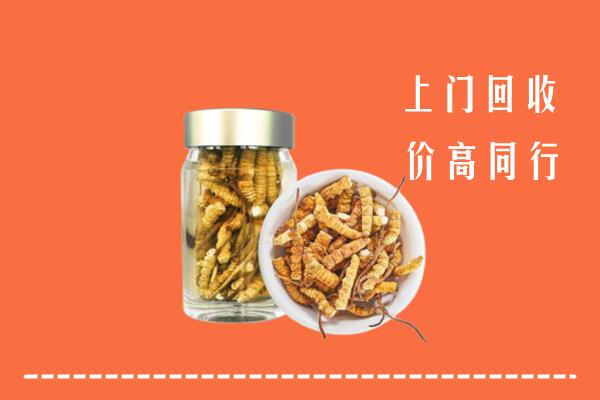 宣城市宁国市回收冬虫夏草